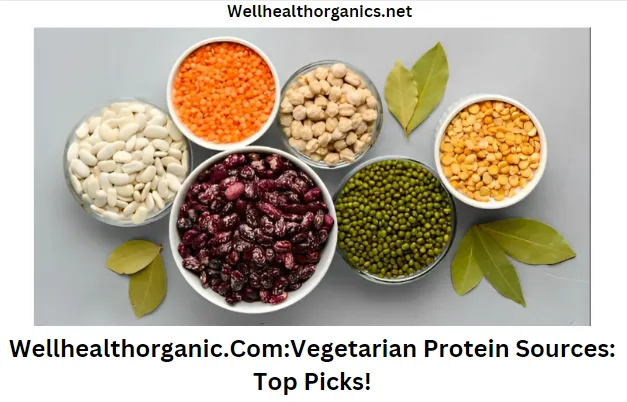 Wellhealthorganic.ComVegetarian Protein Sources Top Picks!